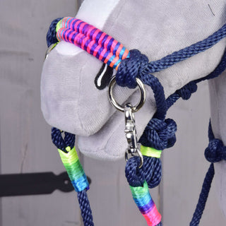 Set di corde Rosemary