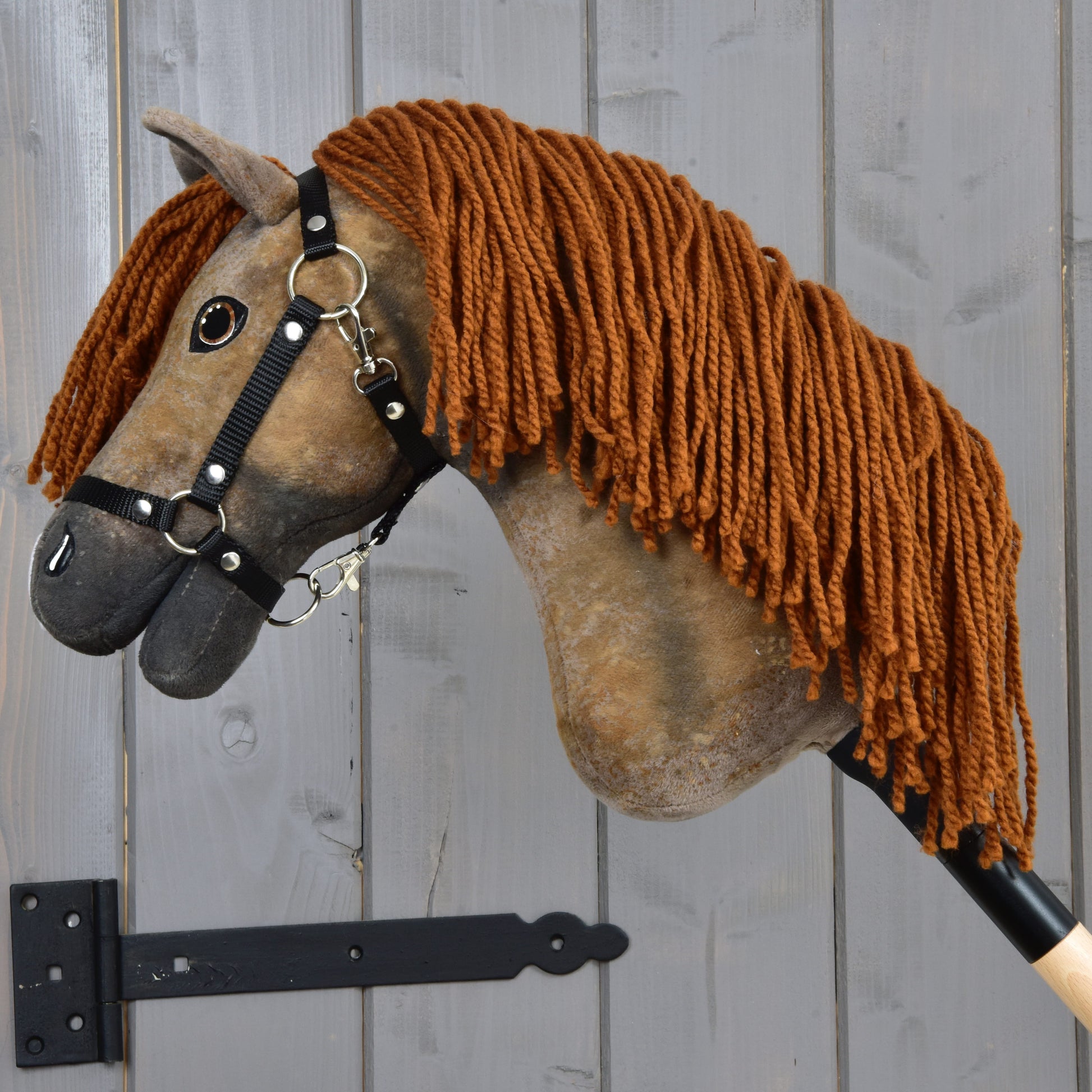 Hobby Horse Rafaello with Black Halter - size S