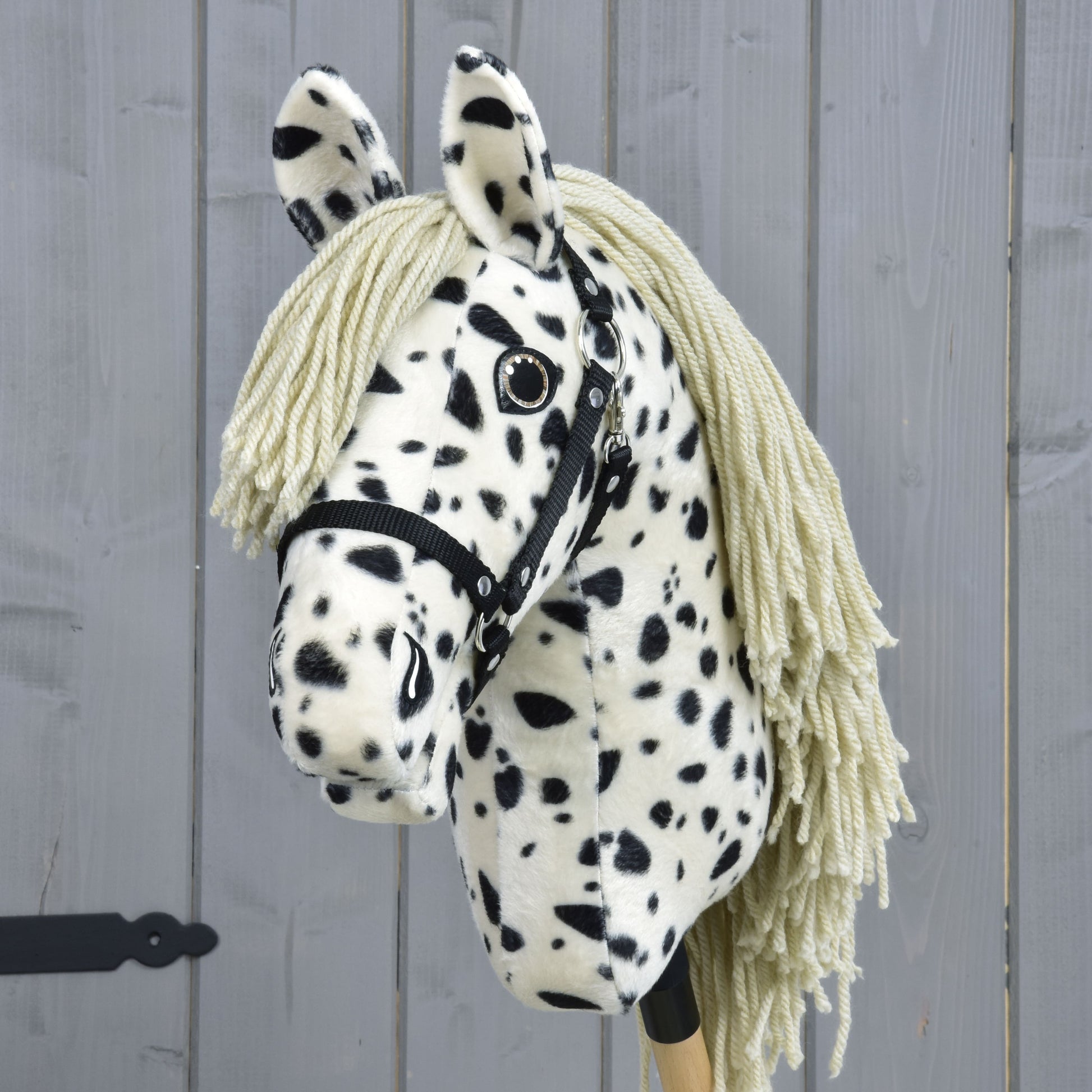Hobby Horse Lord Valentine with Black Halter
