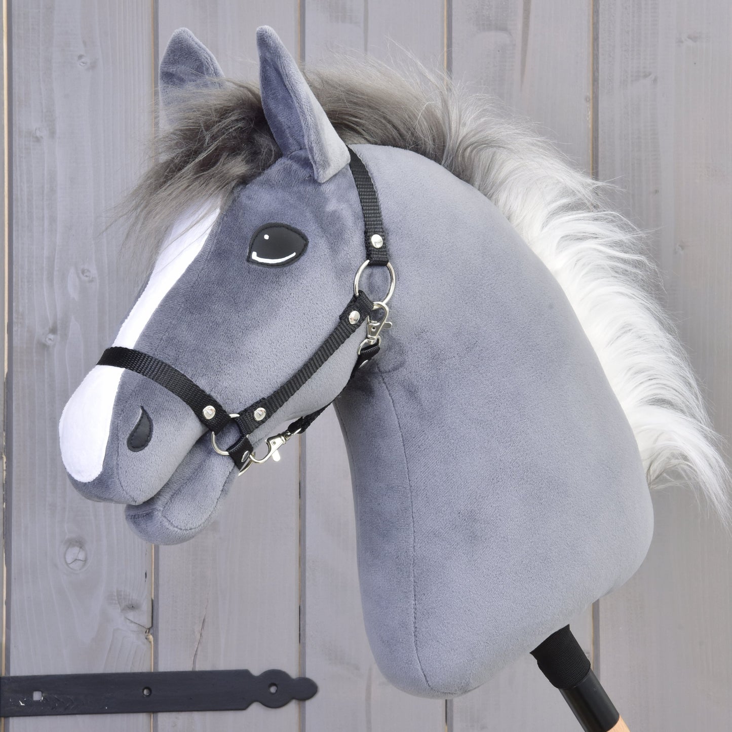 Hobby Horse Beauty with Black Halter