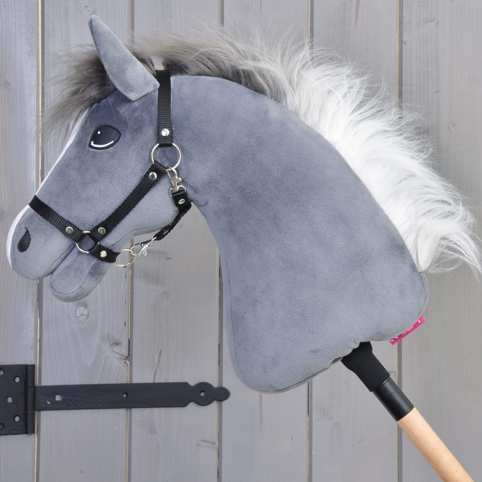 Hobby Horse Beauty with Black Halter