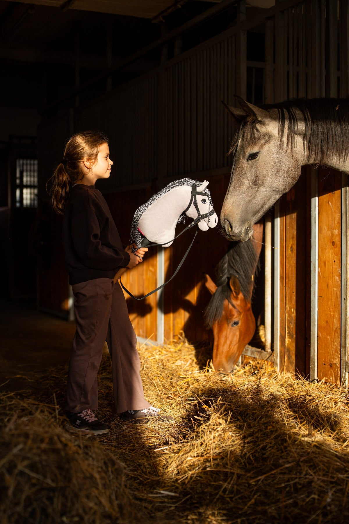 Girl in a dark sweatshirt in a stable holding Hobby Horse Caesar in a black bridle up to a grey horse in its stall