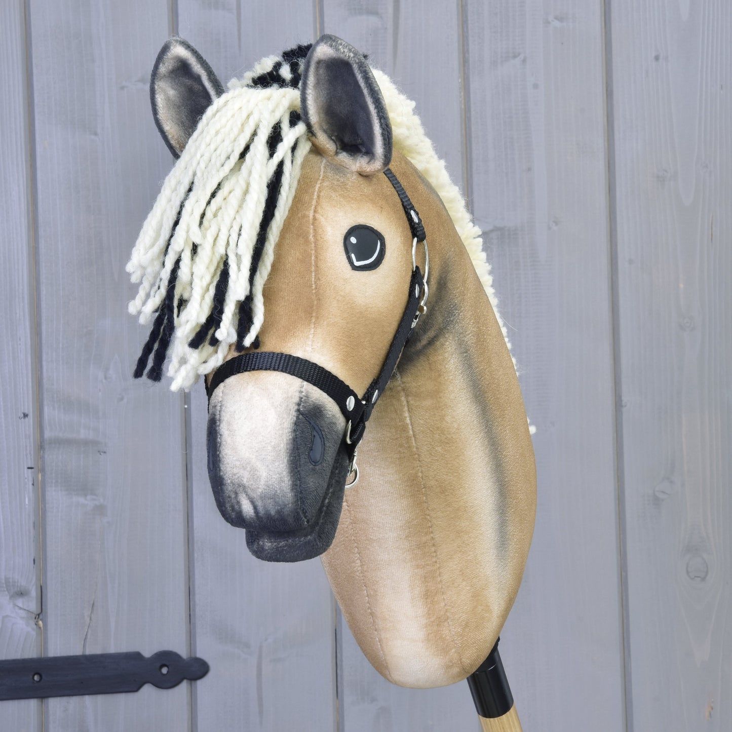 Hobby Horse Colby with black Halter