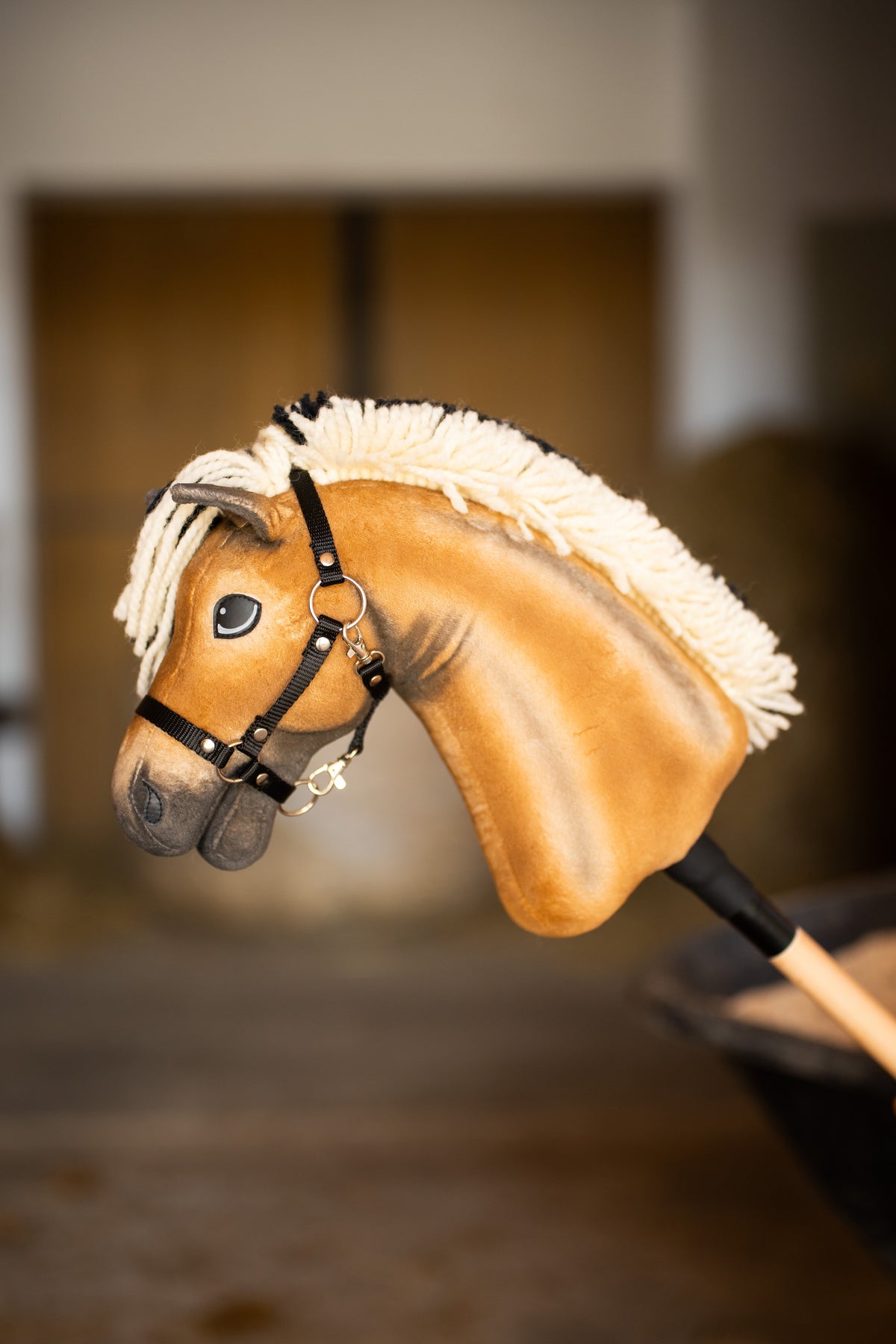 Hobby Horse Colby in una scuderia con una porta di legno sfocata dietro, cavezza nera con anelli argentati e muso sfumato scuro