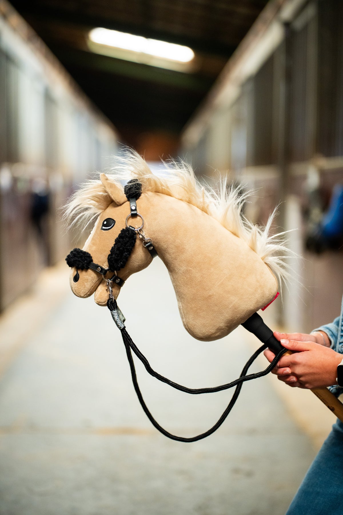 Hobby Horse Dancing Lady with Black Halter held in a stable aisle with black reins