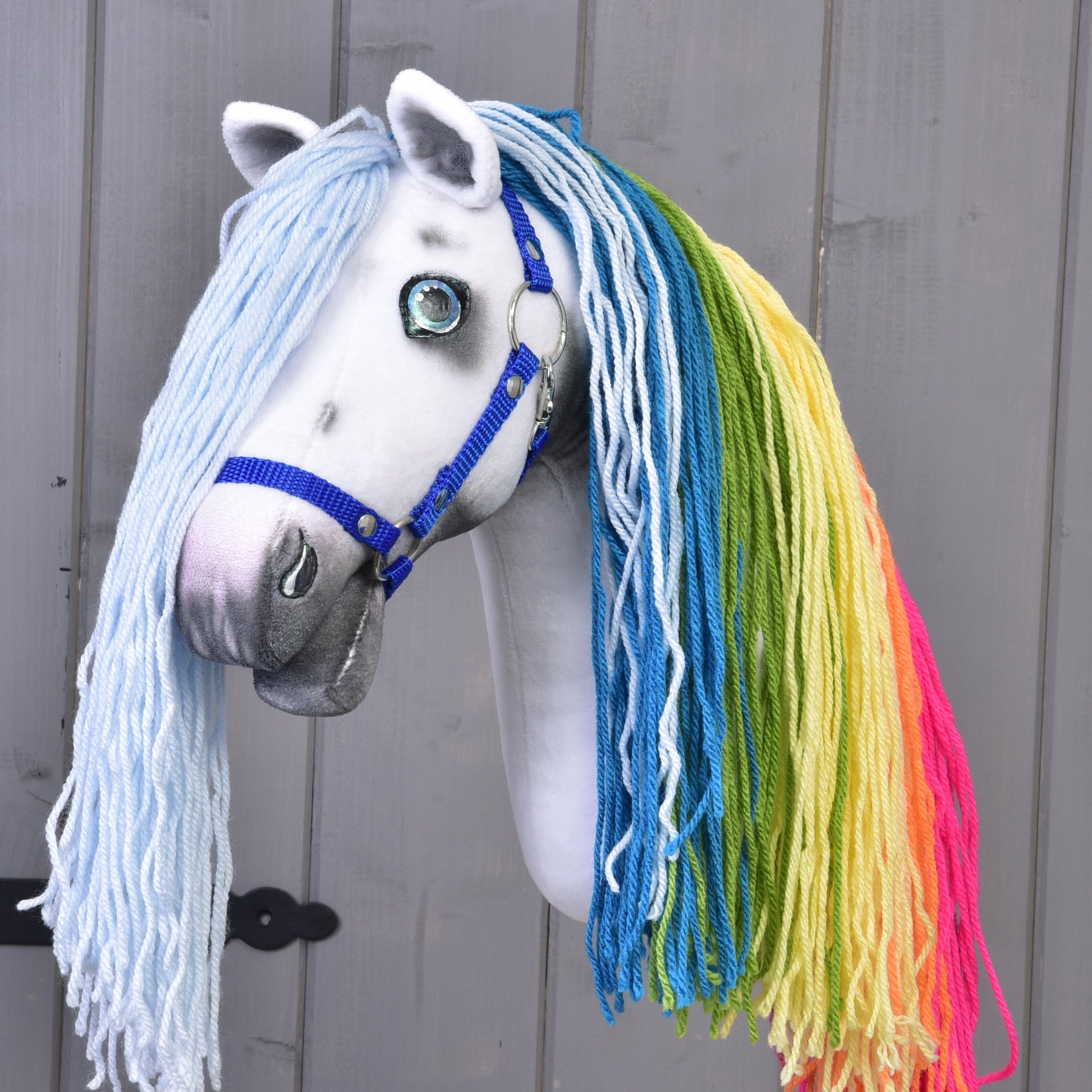 Hobby Horse Rainbow with Blue Halter