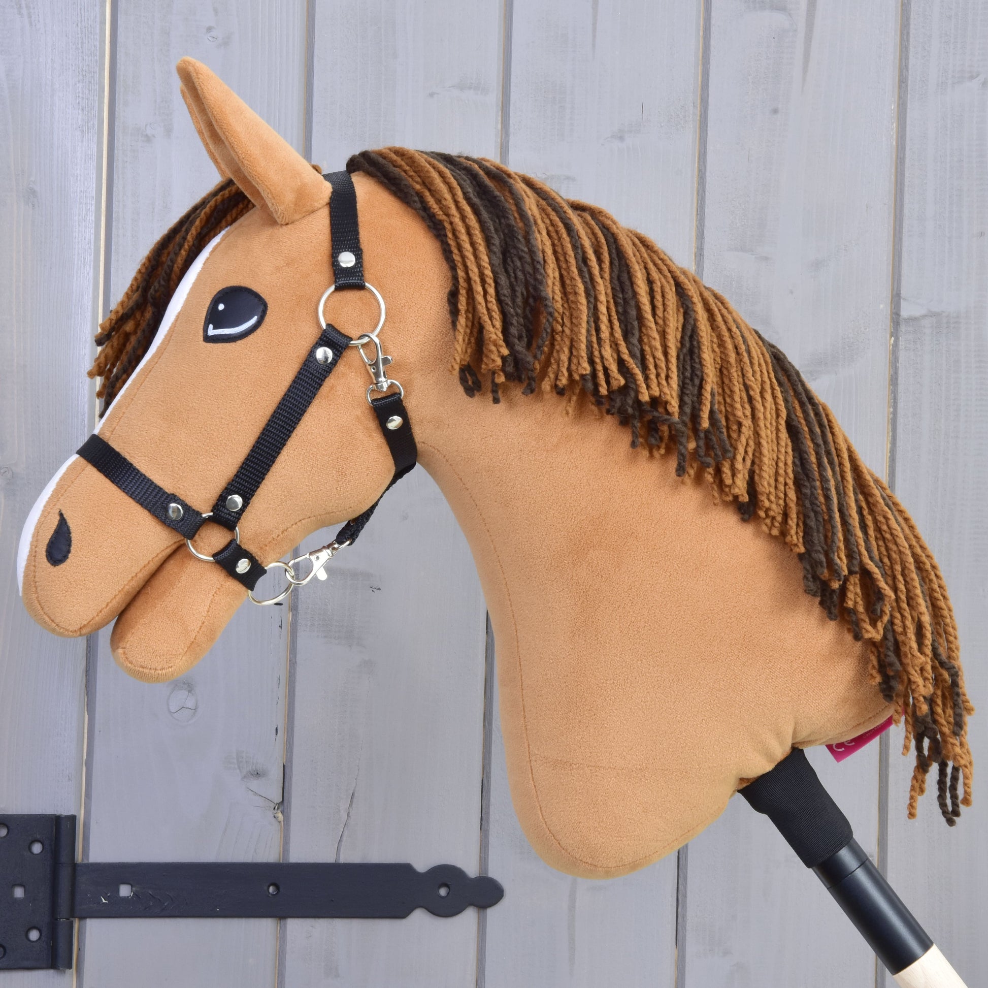 Hobby Horse Edward with Black Halter