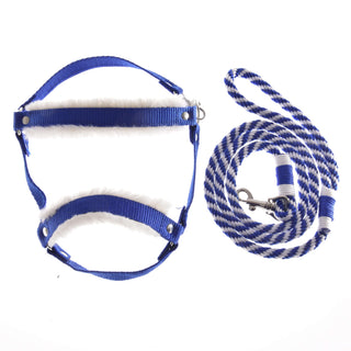 Set Essential Blu