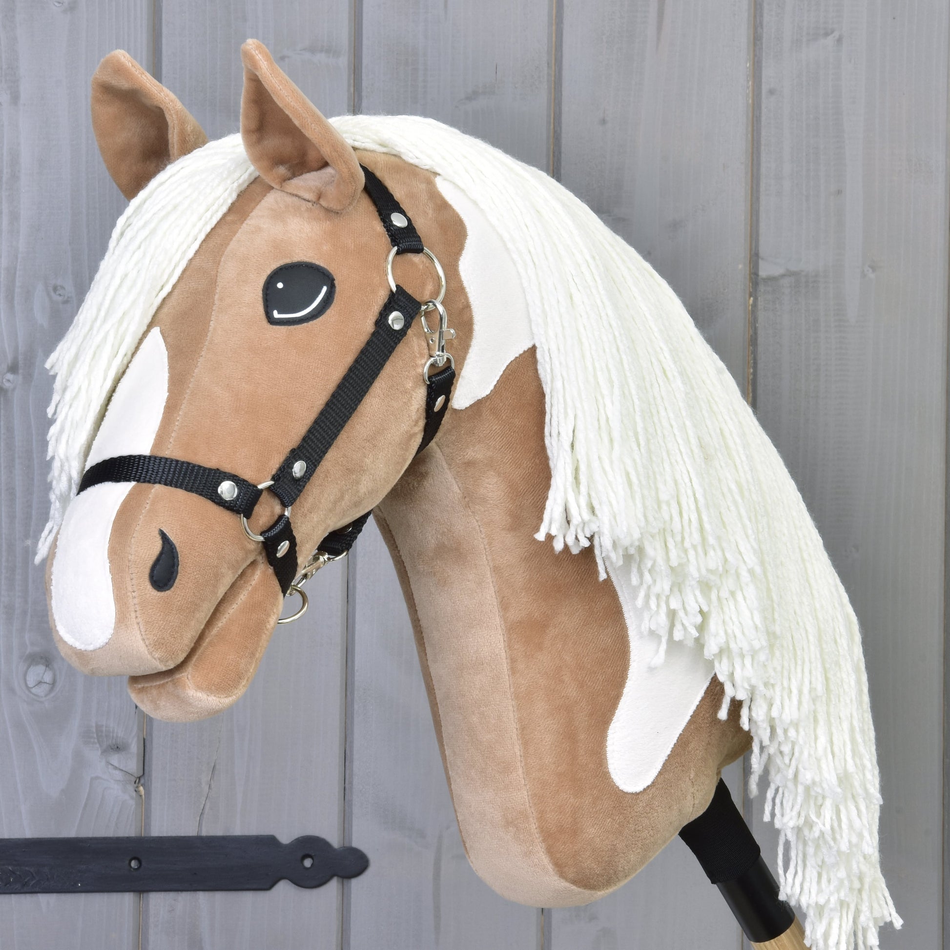 Hobby Horse Fury with Black Halter