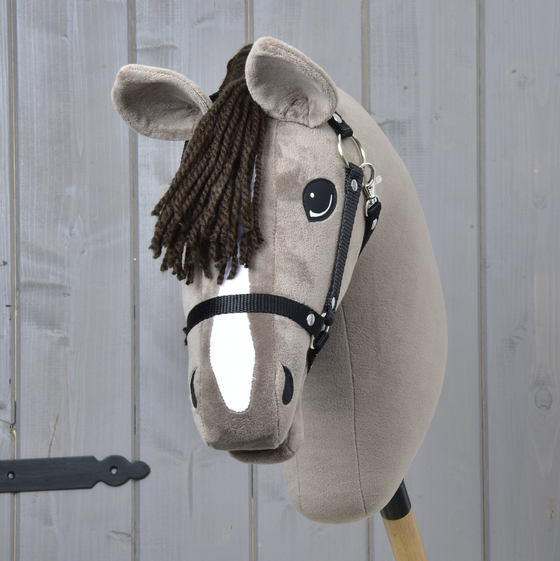 Hobby Horse Guccini with Black Halter