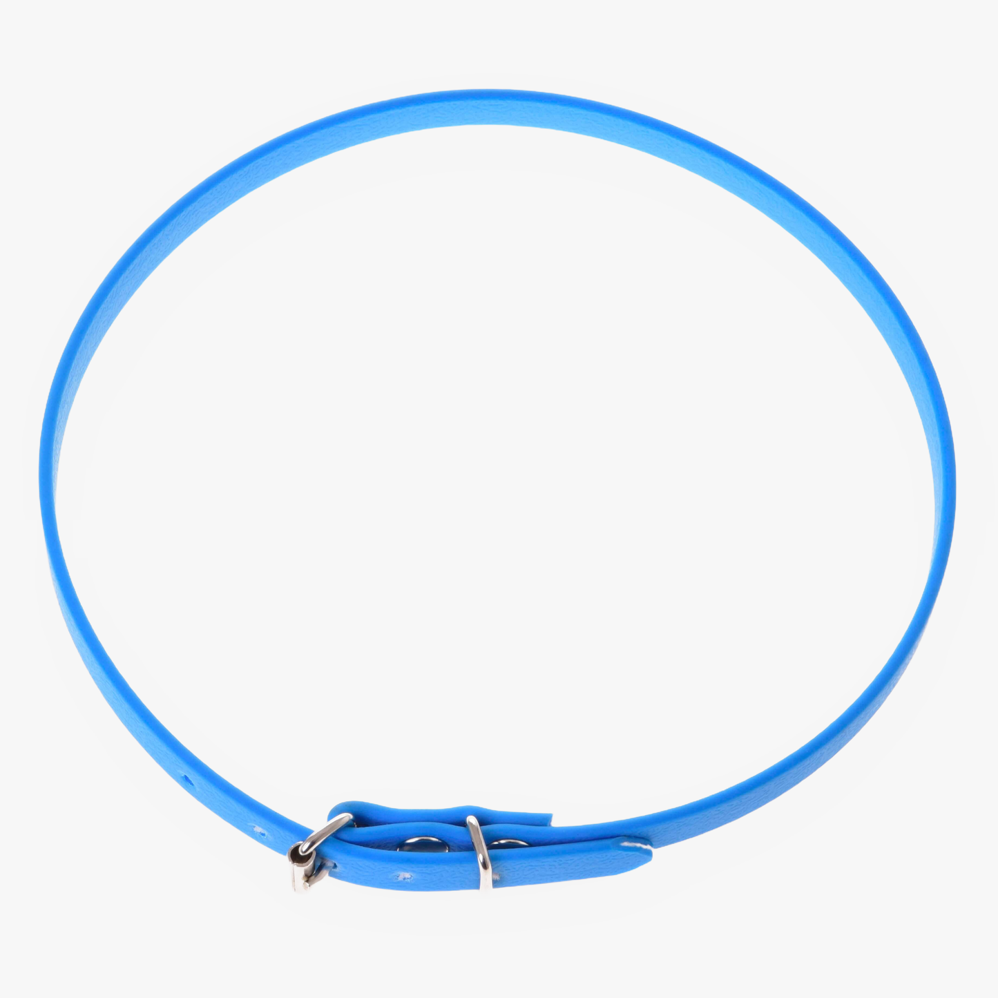 The Hobby Horse LarDen Hobby Horse cordeo blue (size S) features a slim, bright blue design with a small metal buckle—ideal for accessorizing your hobby horse or using as an alternative cordeo. Displayed circular on a white background.