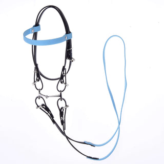 Testiera completa senza nasello Azzurro Chiaro