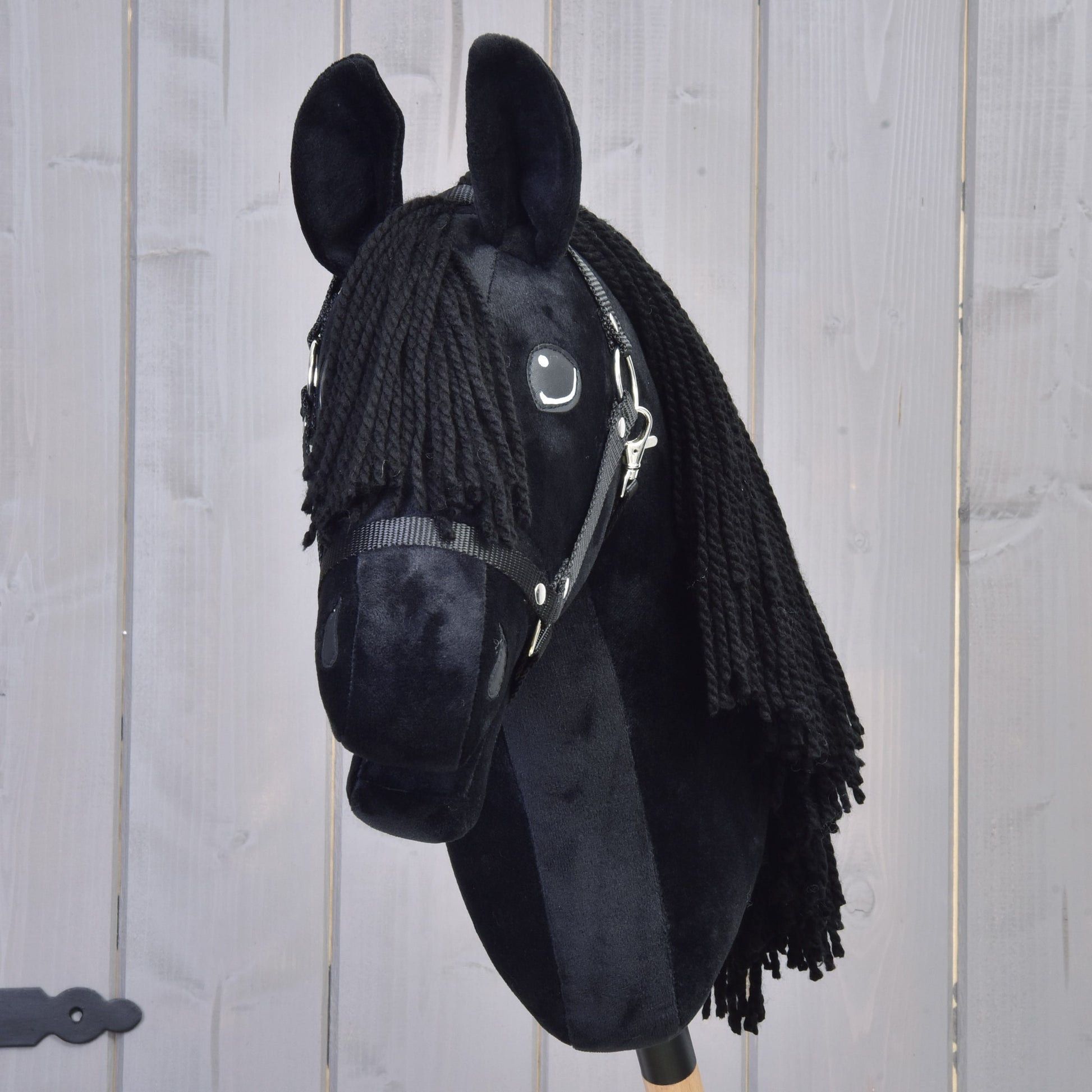 Hobby Horse Mahal with Black Halter