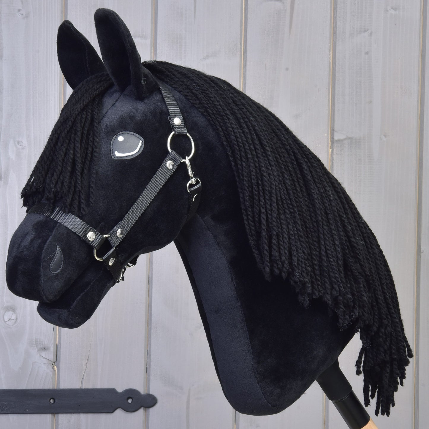 Hobby Horse Mahal with Black Halter
