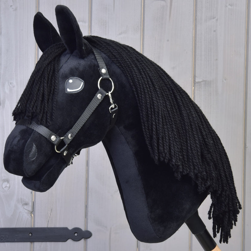 Hobby Horse Mahal with Black Halter