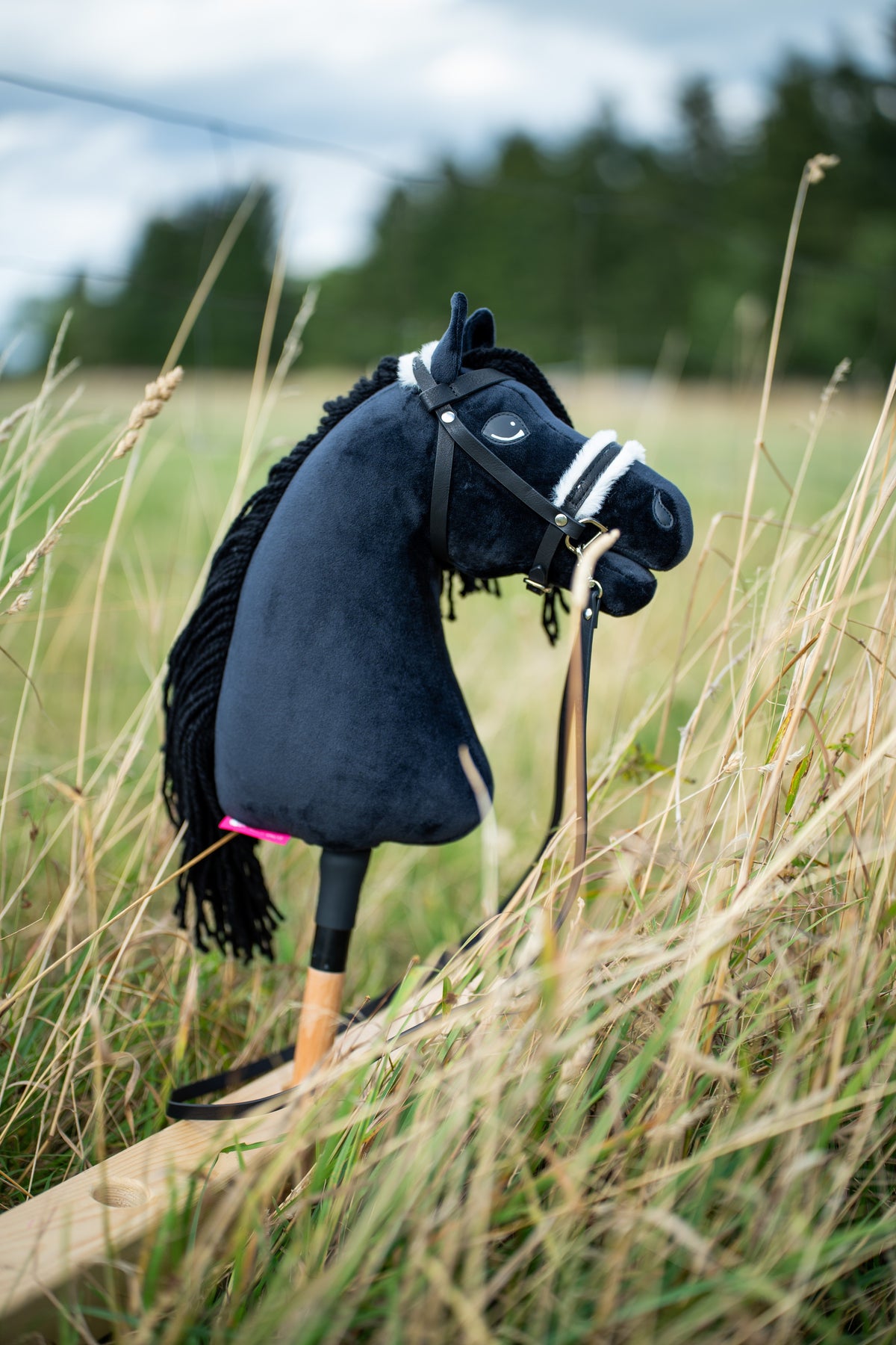 Hobby Horse Mahal con cavezza nera nell’erba alta di un prato, qui con briglia nera e nasello in pelliccia bianca