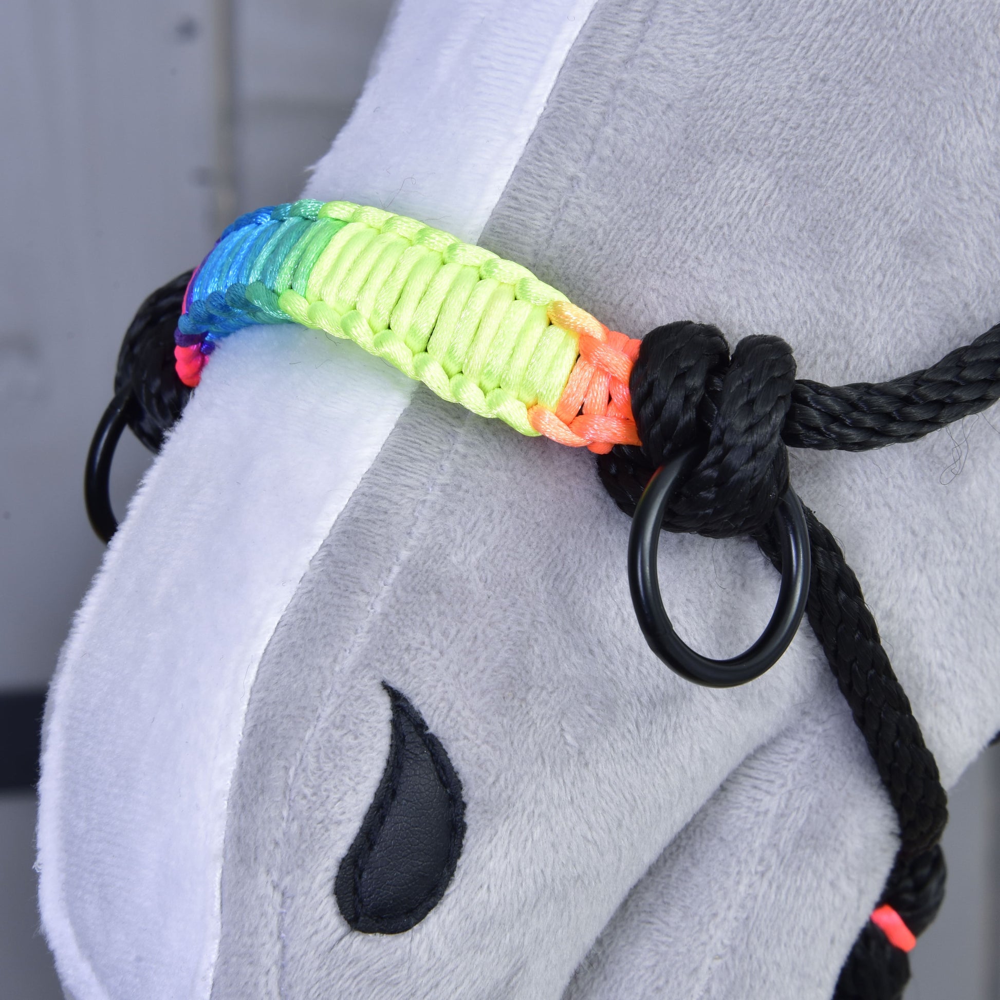 Rope halter Rainbow