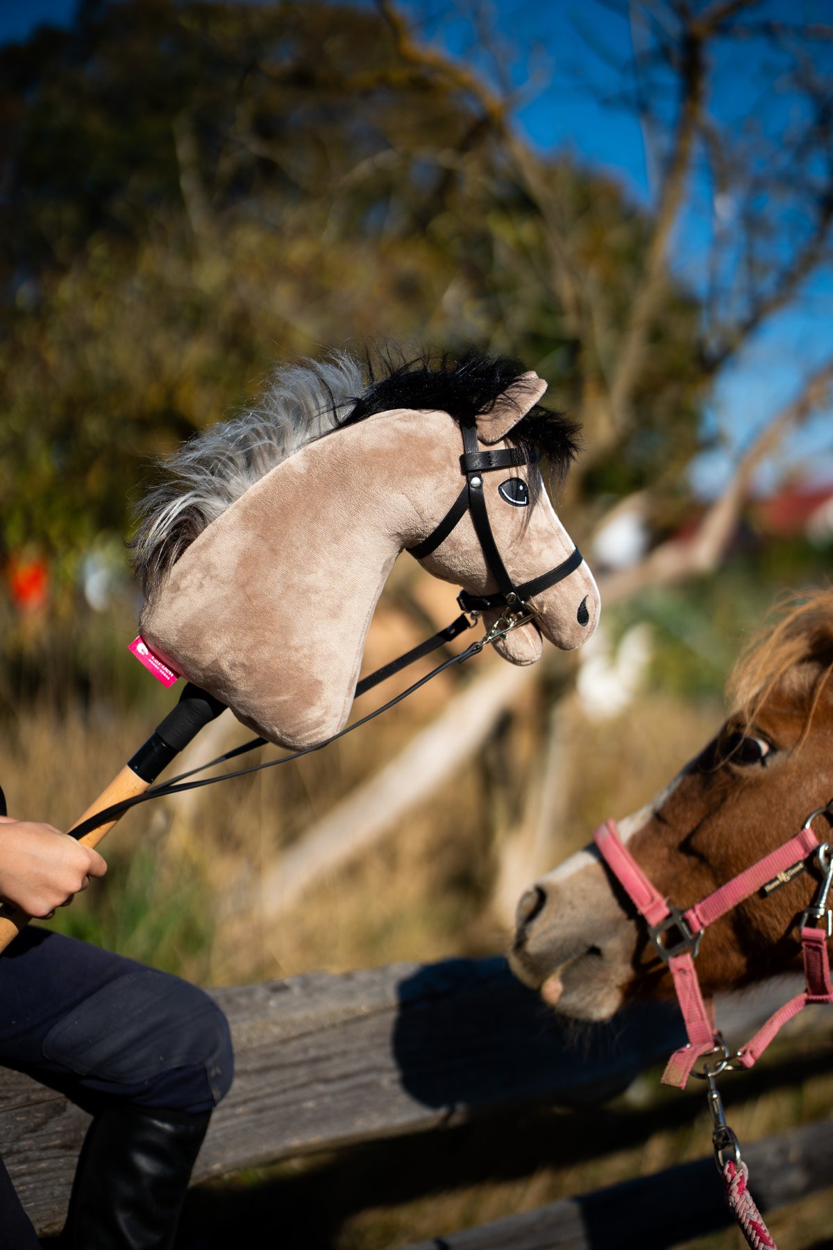 Detail photo: the head of the Hobby Horse Piccolino with Black Halter by Hobby Horse LarDen - light beige plush, dark yarn mane - with a chestnut pony behind the fence, shown here with the Complete black bridle from leatherette.