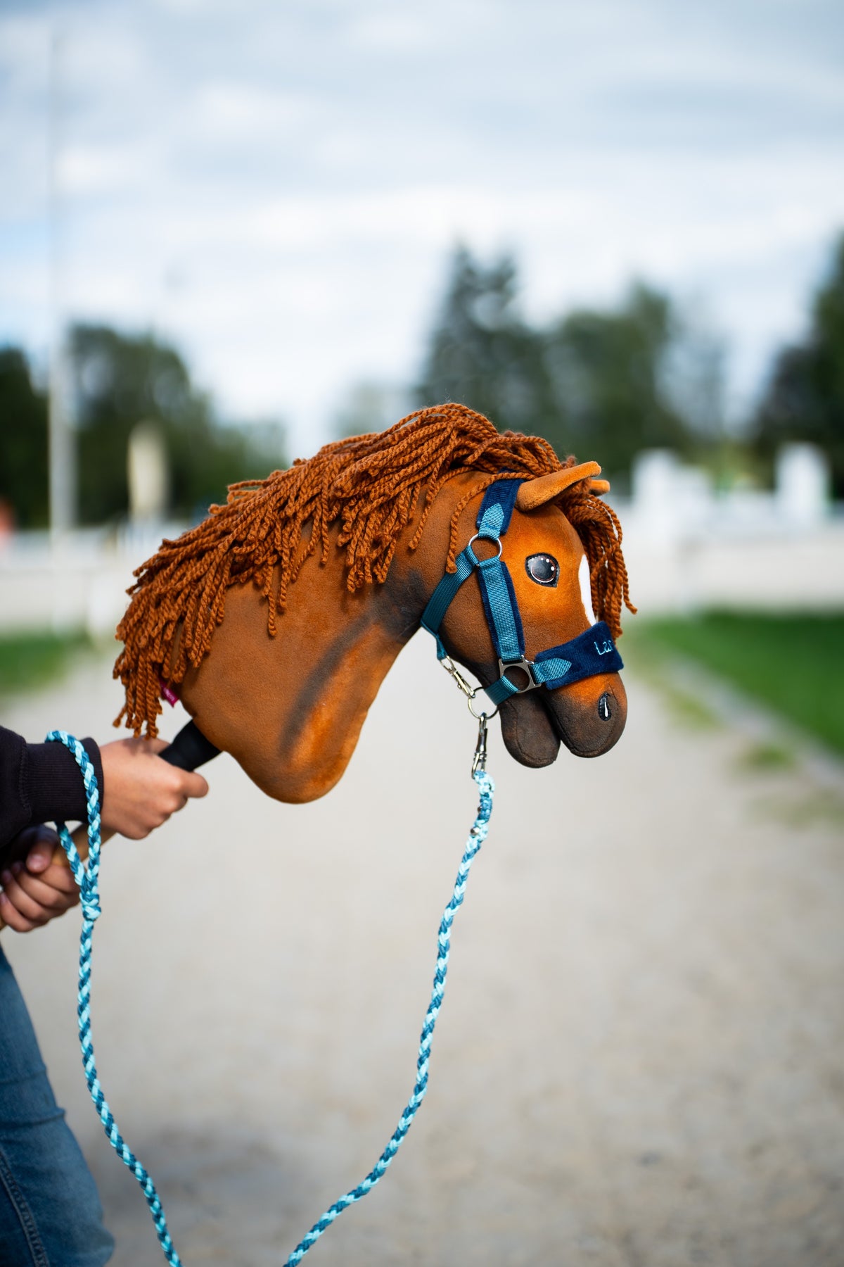 Lunghina per Hobby Horse Bloom Blue agganciata a un Hobby Horse sauro con cavezza blu all'aperto