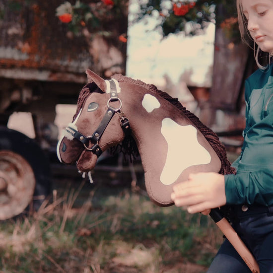 Hobby Horse Monte with Black Halter