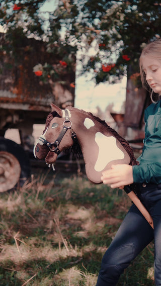 Hobby Horse Monte with Black Halter
