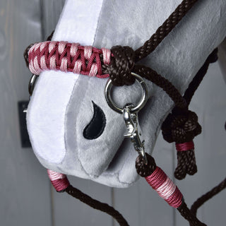 Set corde York