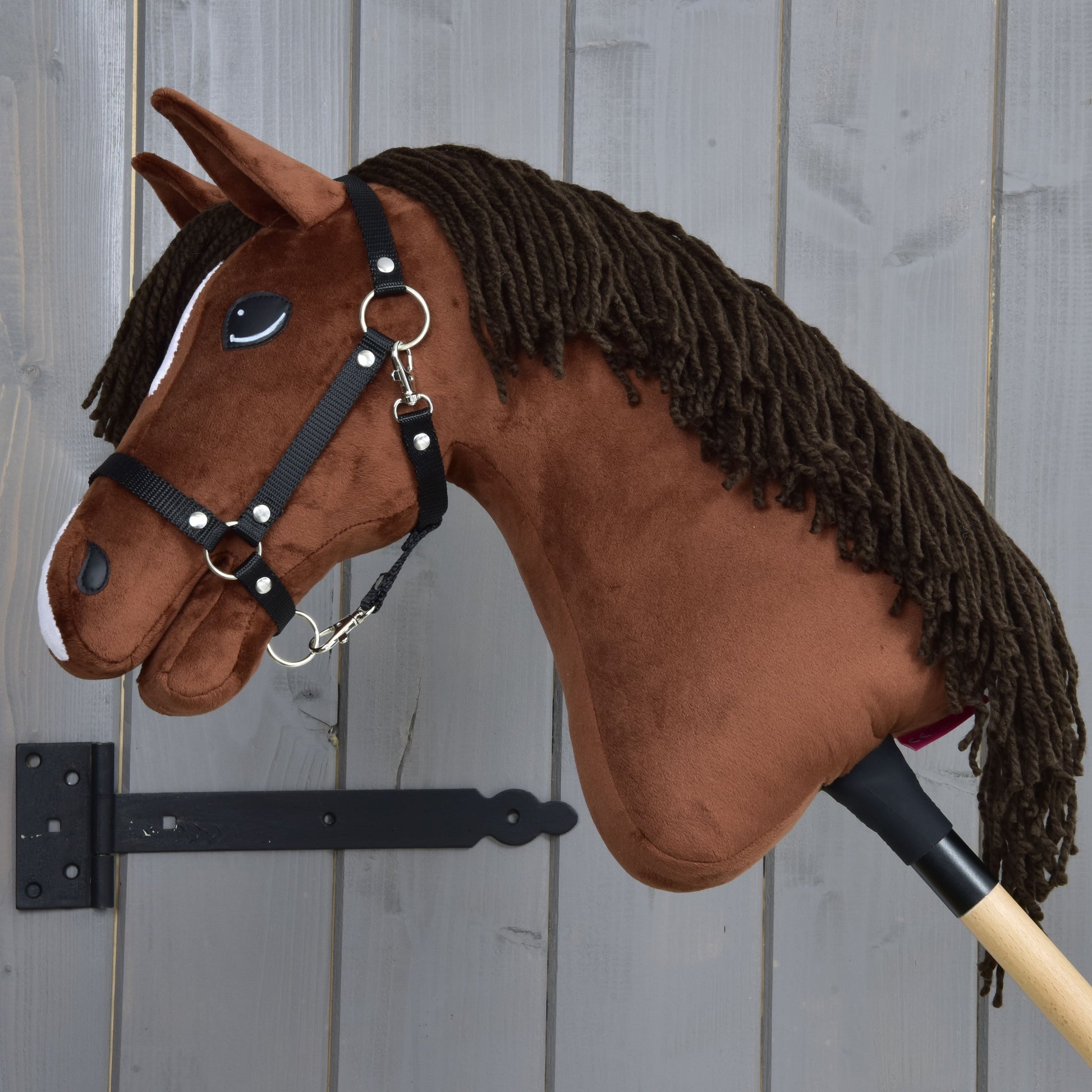 Hobby Horse Rocky with Black Halter