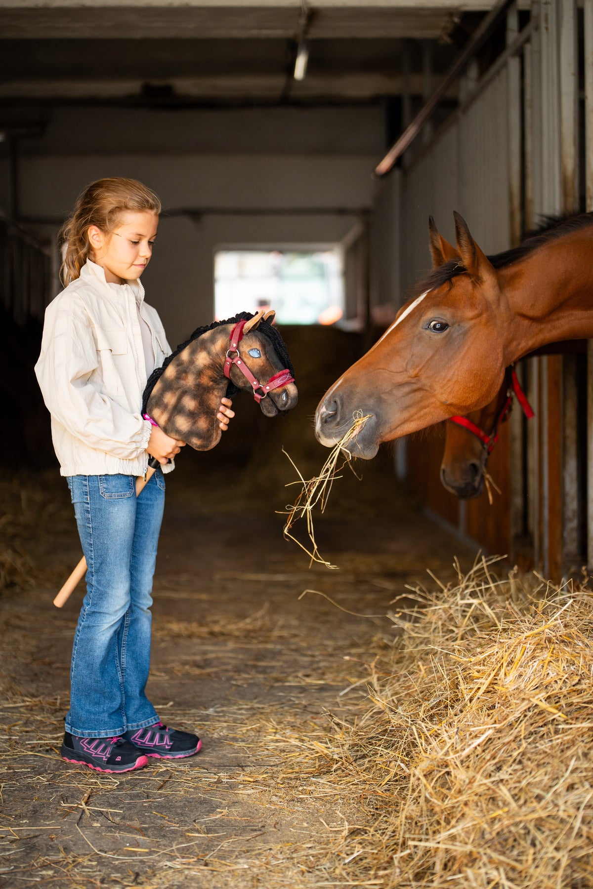 Una ragazza con giacca color crema avvicina l'Hobby Horse Stormy con Cavezza nera di Hobby Horse LarDen a un vero cavallo baio che mangia fieno in una scuderia, testa in peluche marrone pomellato e criniera in filato nero, qui mostrato con cavezza Burgundy in similpelle con pelliccia
