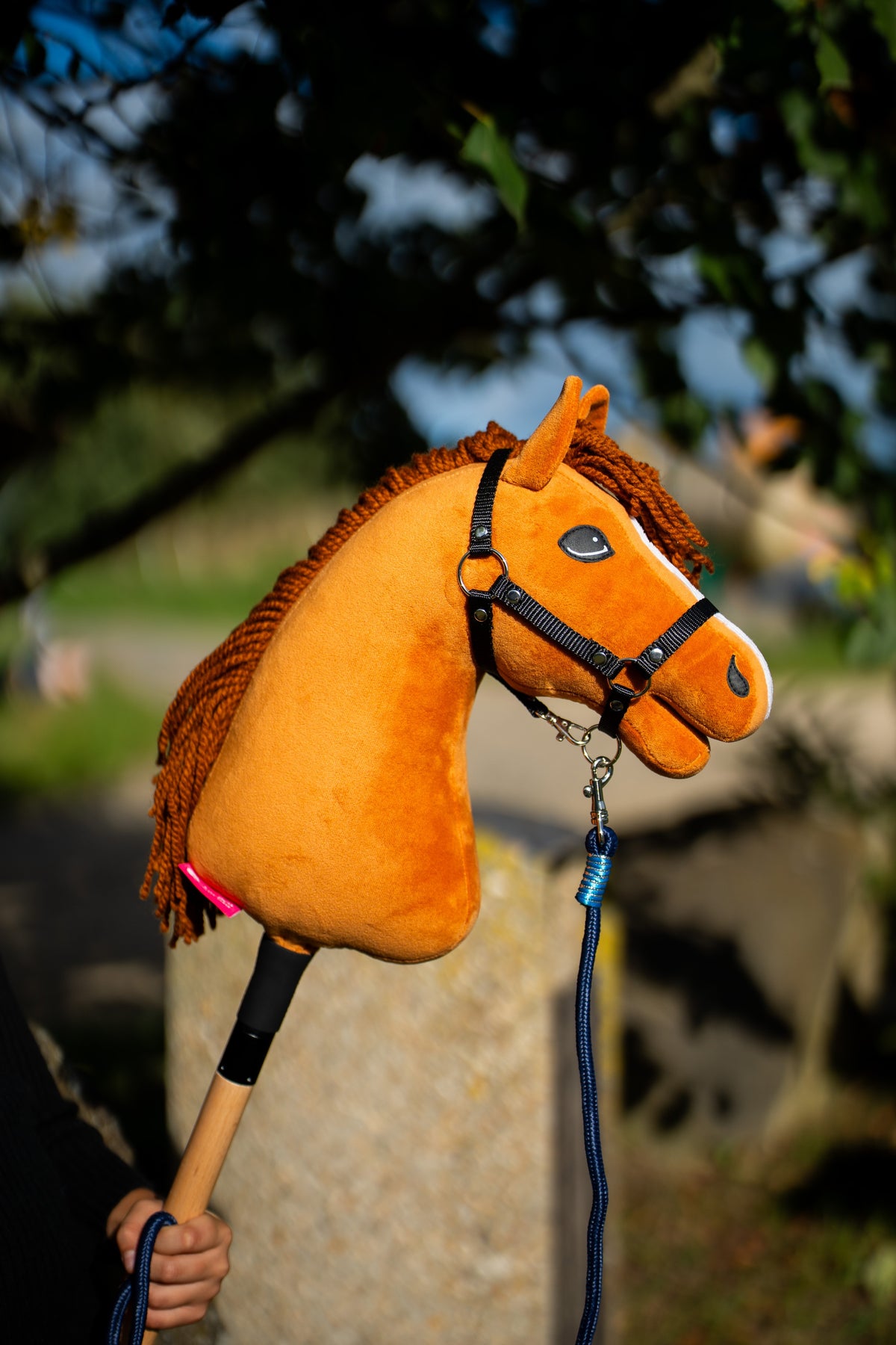 Hobby Horse Wendy in her black halter with a navy lead rope clipped on, held up by a child beside a sunlit stone block