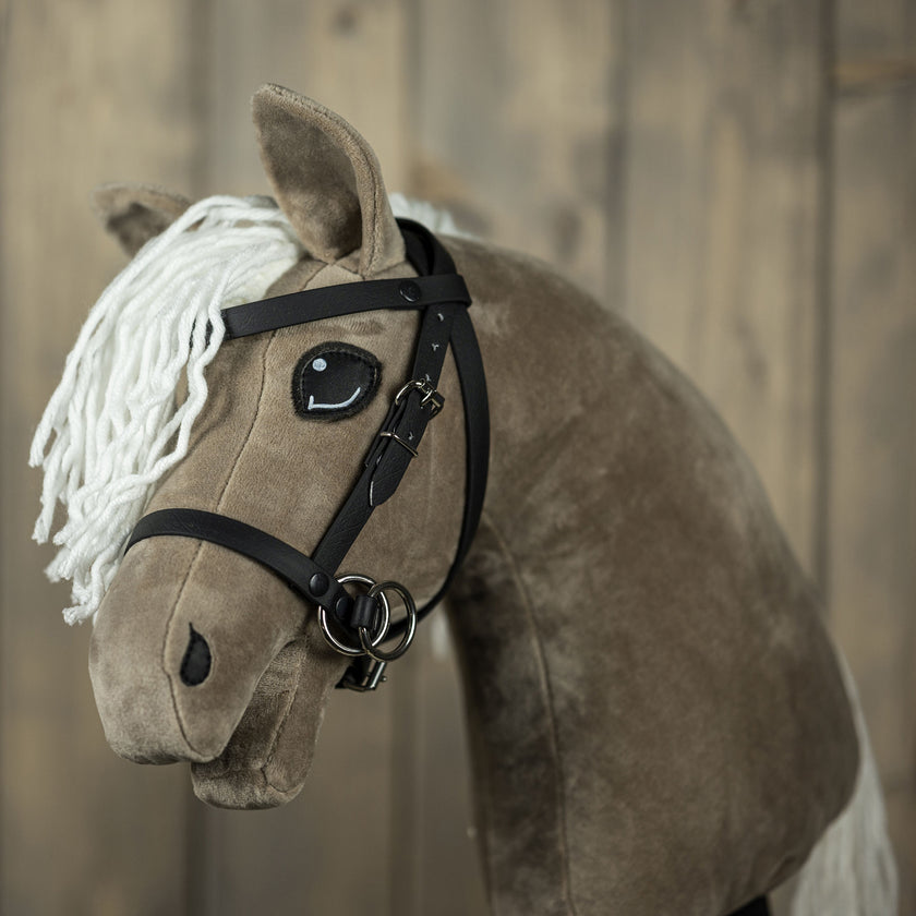 Bitless bridle