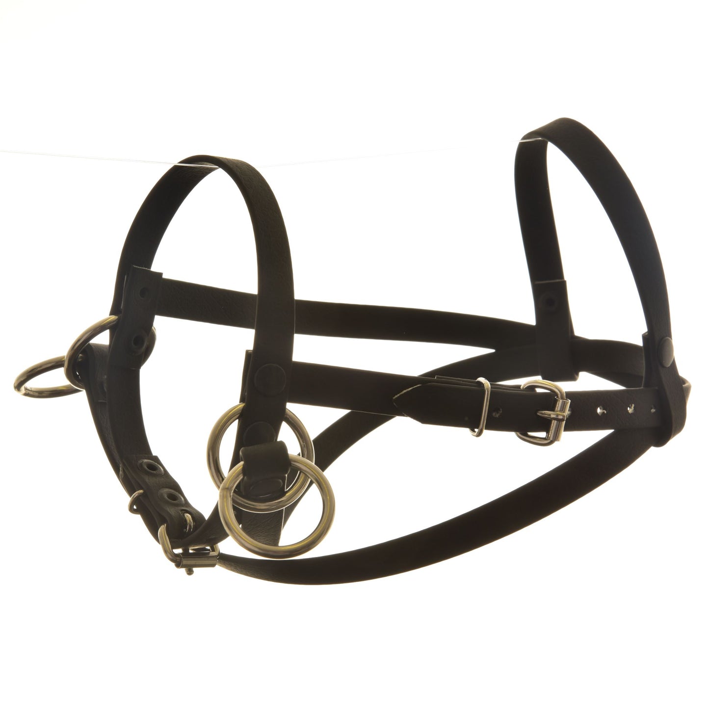 Bitless bridle