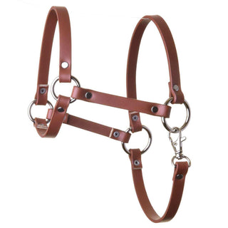 Cavezza - similpelle marrone