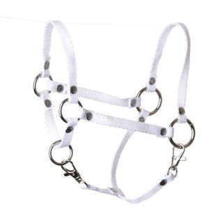 Cavezza bianco