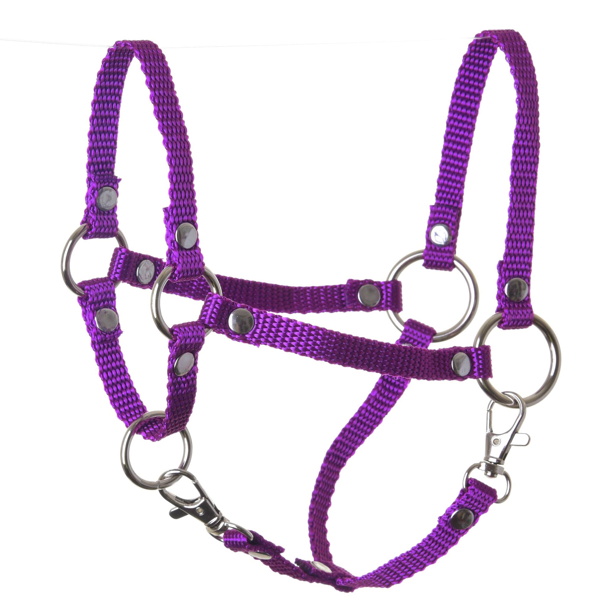 Halter purple