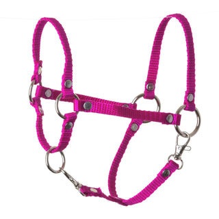 Cavezza rosa