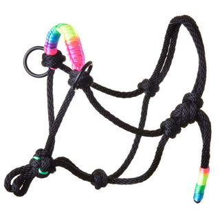 Cavezza in corda Arcobaleno